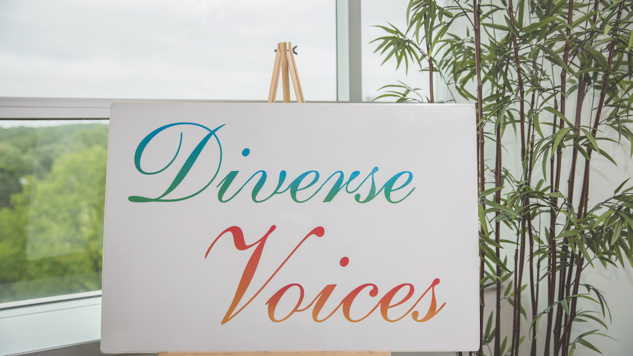 diverse voices conference poster