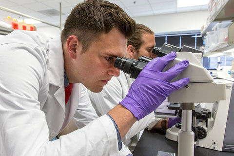 Tyler Parsons in the Beaumont lab