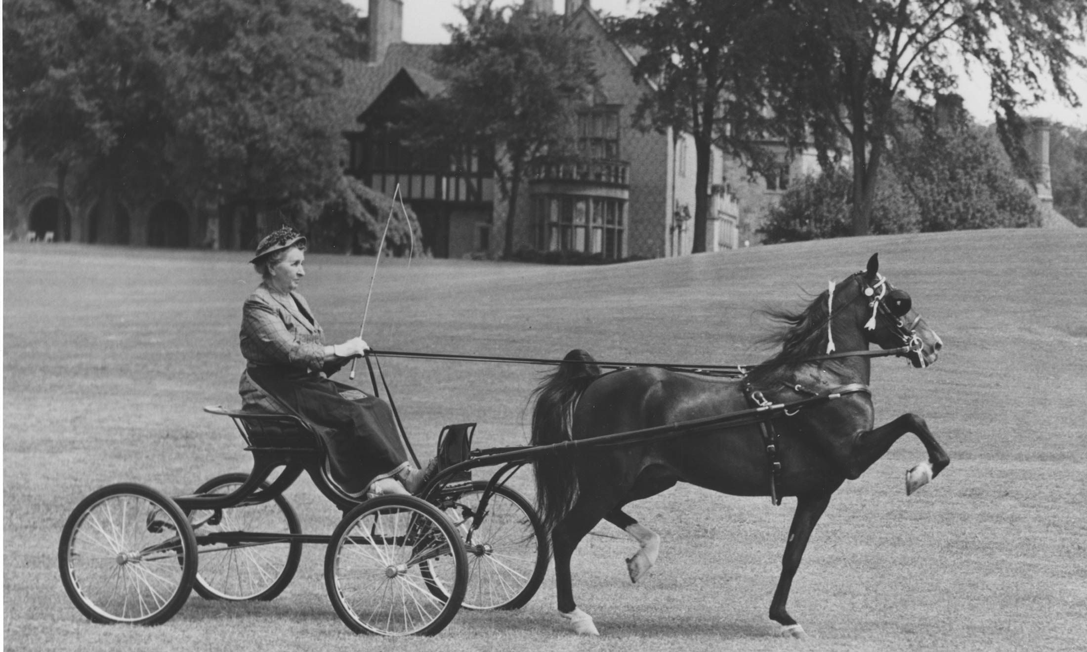 Matilda Dodge Wilson rides around Meadowbrook estate by horse