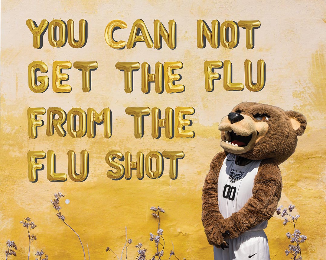 You can not get the flu from the flu shot