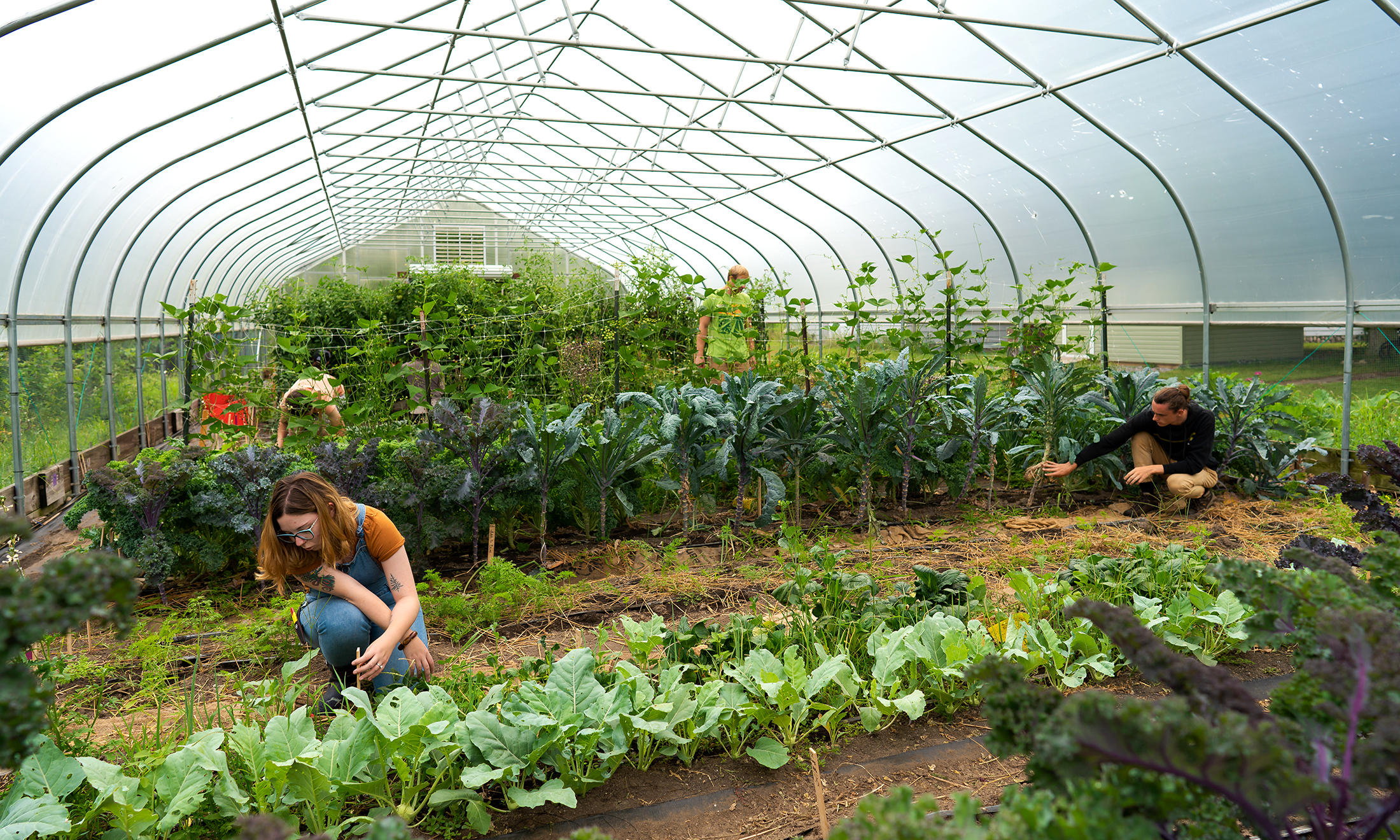 Campus Student Organic Farm crowdfunding campaign
