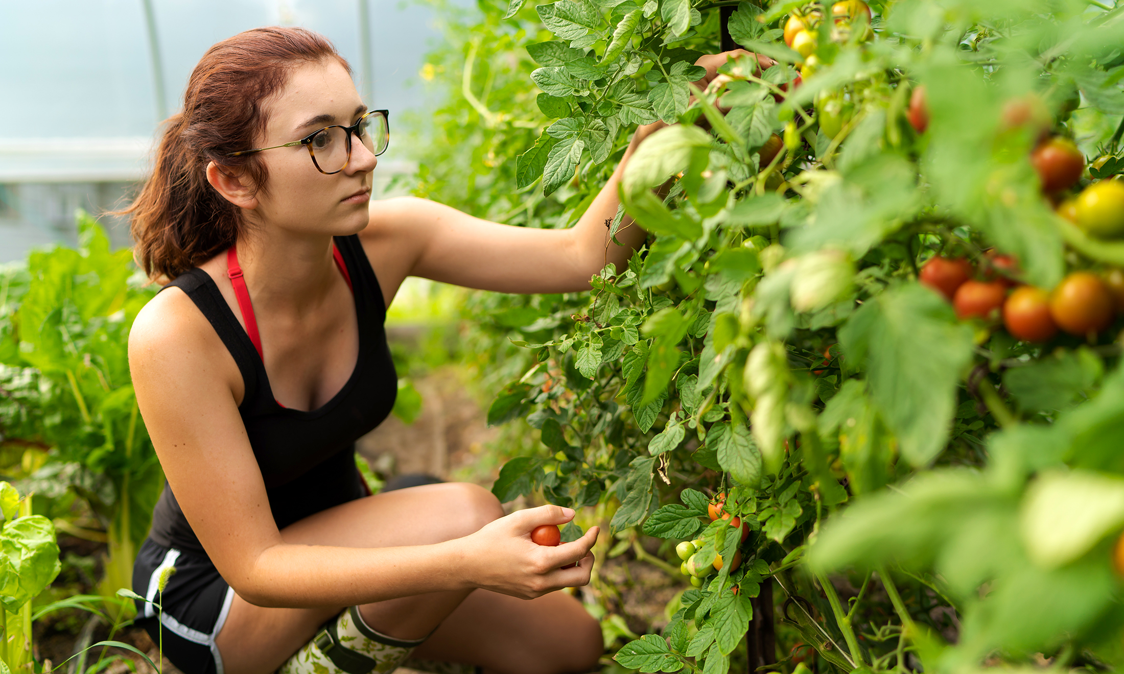 OU Campus Student Organic Farm launches crowdfunding ...