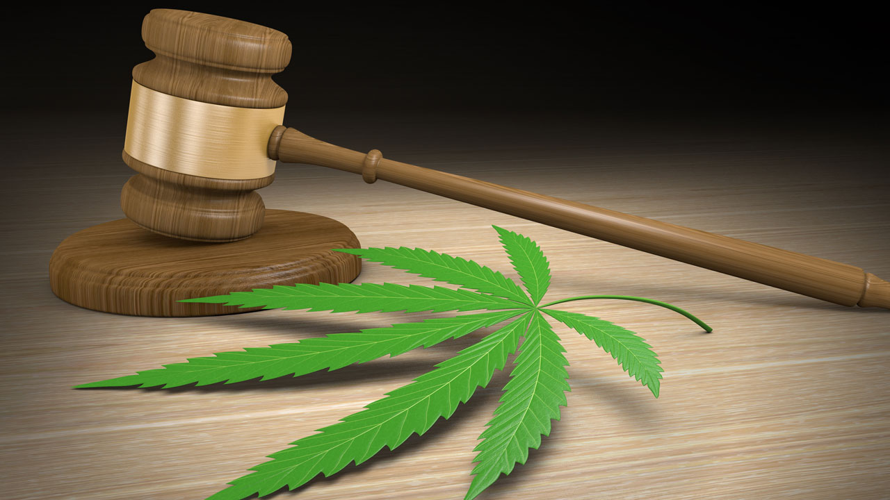 Marijuana Legalization Panel