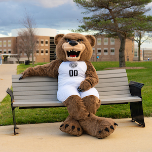 The Grizz sitting on a bench