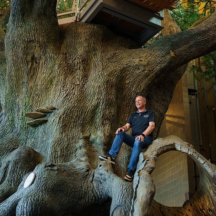 A man sitting on a giant tree