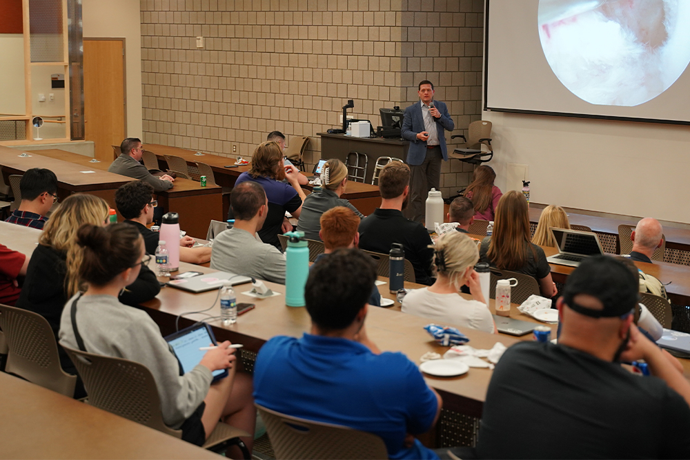 An image of a speaker at the interprofessional event