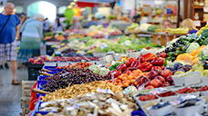 Fruits and vegetables in the produce section of a grocery store
