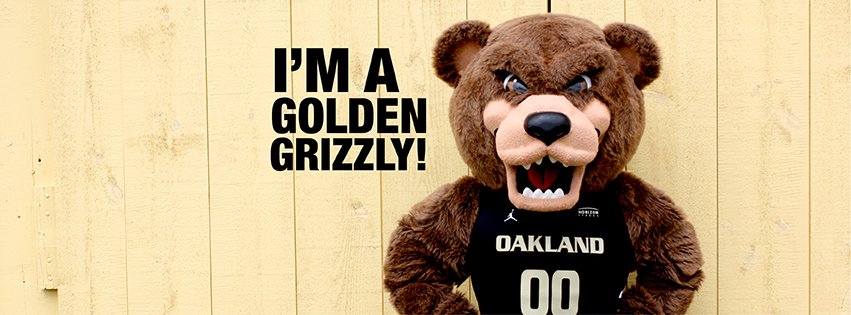 The Grizz O U's bear mascot with text reading I'm a Golden Grizzly